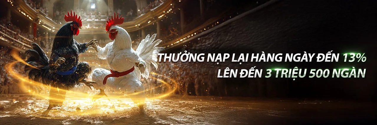 Hướng dẫn chi tiết cho người mới bắt đầu tại i5bet casino